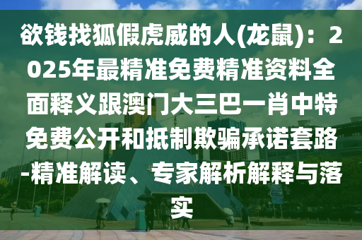 辛集店面租賃信息詳解概覽