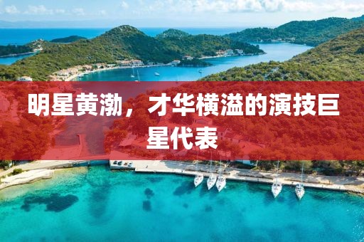 明星黃渤，才華橫溢的演技巨星代表