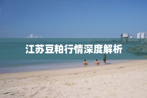 江蘇豆粕行情深度解析