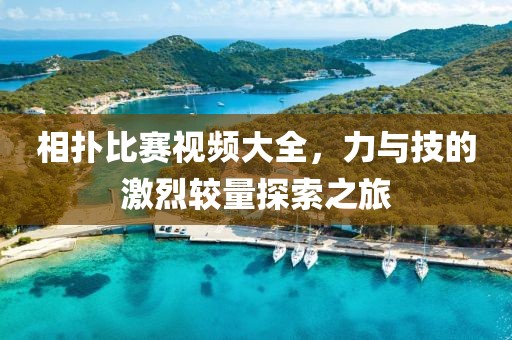 相撲比賽視頻大全，力與技的激烈較量探索之旅