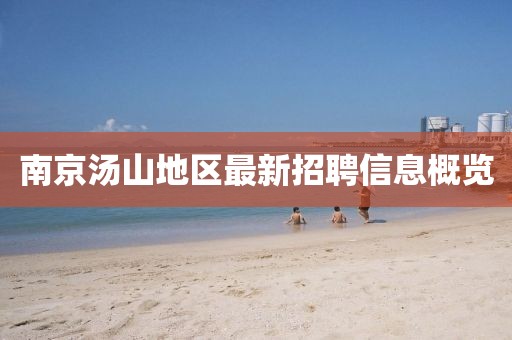 南京湯山地區(qū)最新招聘信息概覽