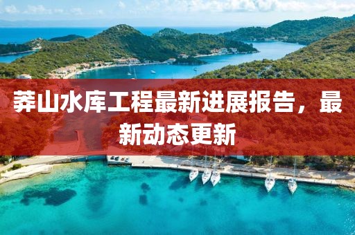 莽山水庫工程最新進(jìn)展報(bào)告，最新動(dòng)態(tài)更新