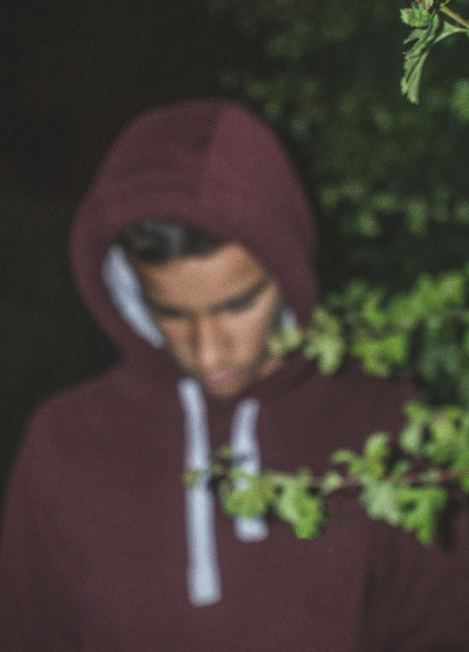 最新電影愛情，深度探索情感的魅力與深度