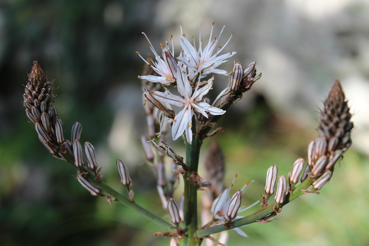 上海疫情最新動態(tài)，挑戰(zhàn)與應對策略