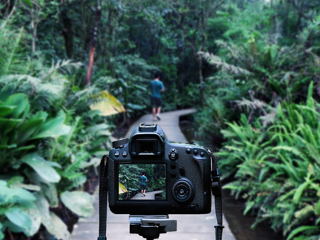 李瑞小卡，音樂與藝術(shù)融合之旅的最新動(dòng)態(tài)