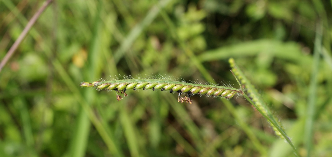 黃金價(jià)格變化，影響因素、市場(chǎng)動(dòng)態(tài)全解析