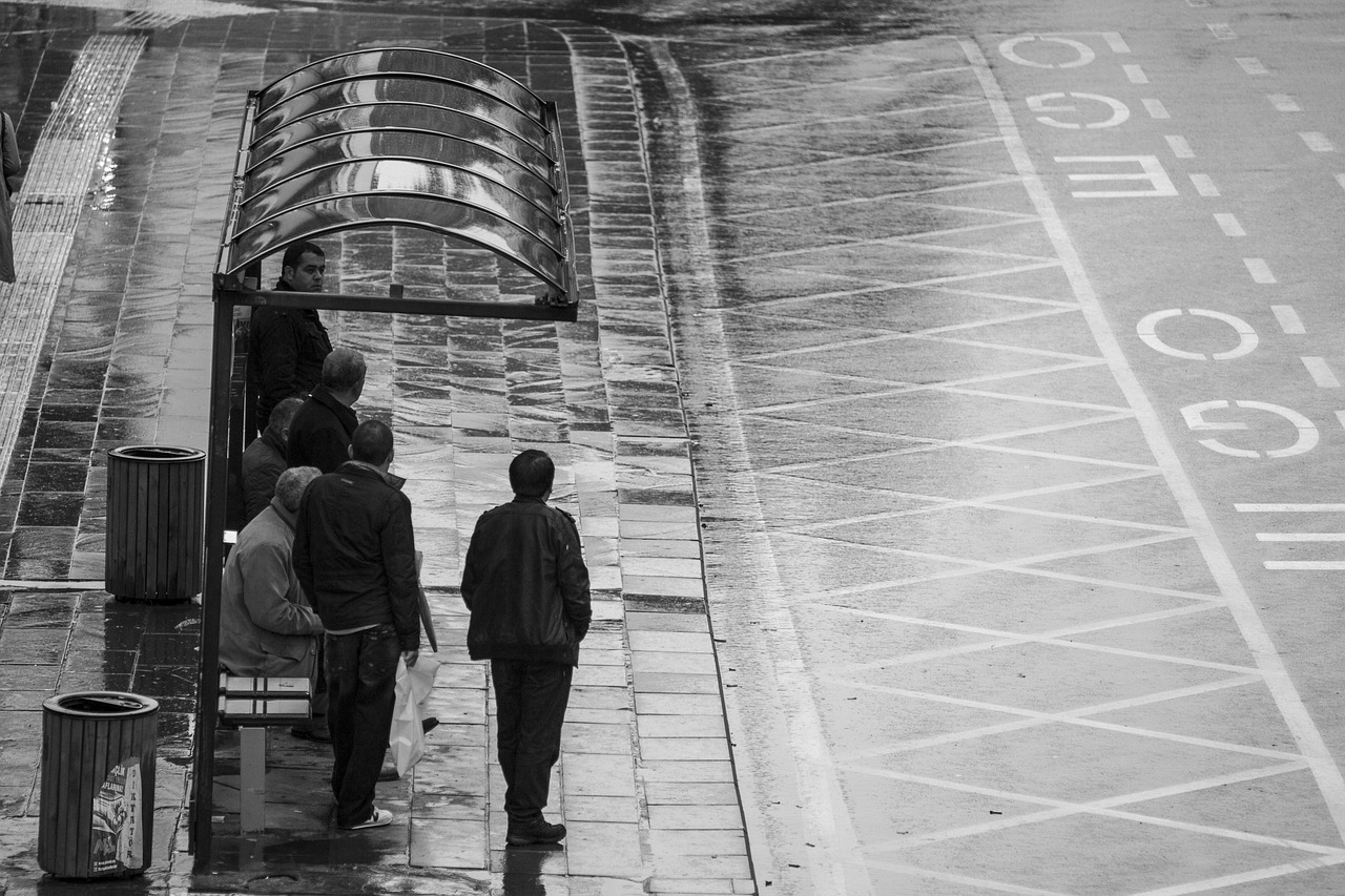 三國(guó)志最新版本的演變、特點(diǎn)與更新動(dòng)態(tài)揭秘！