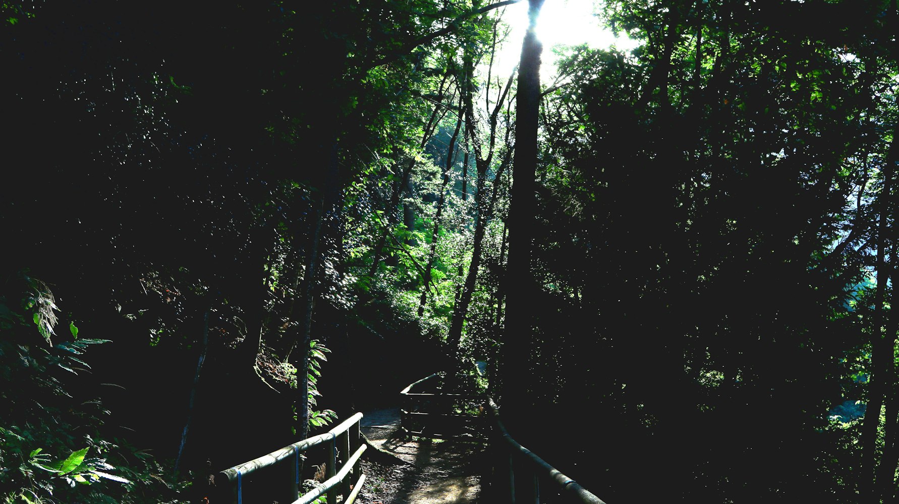 林由奈最新力作，探索藝術(shù)新邊界的創(chuàng)意之旅