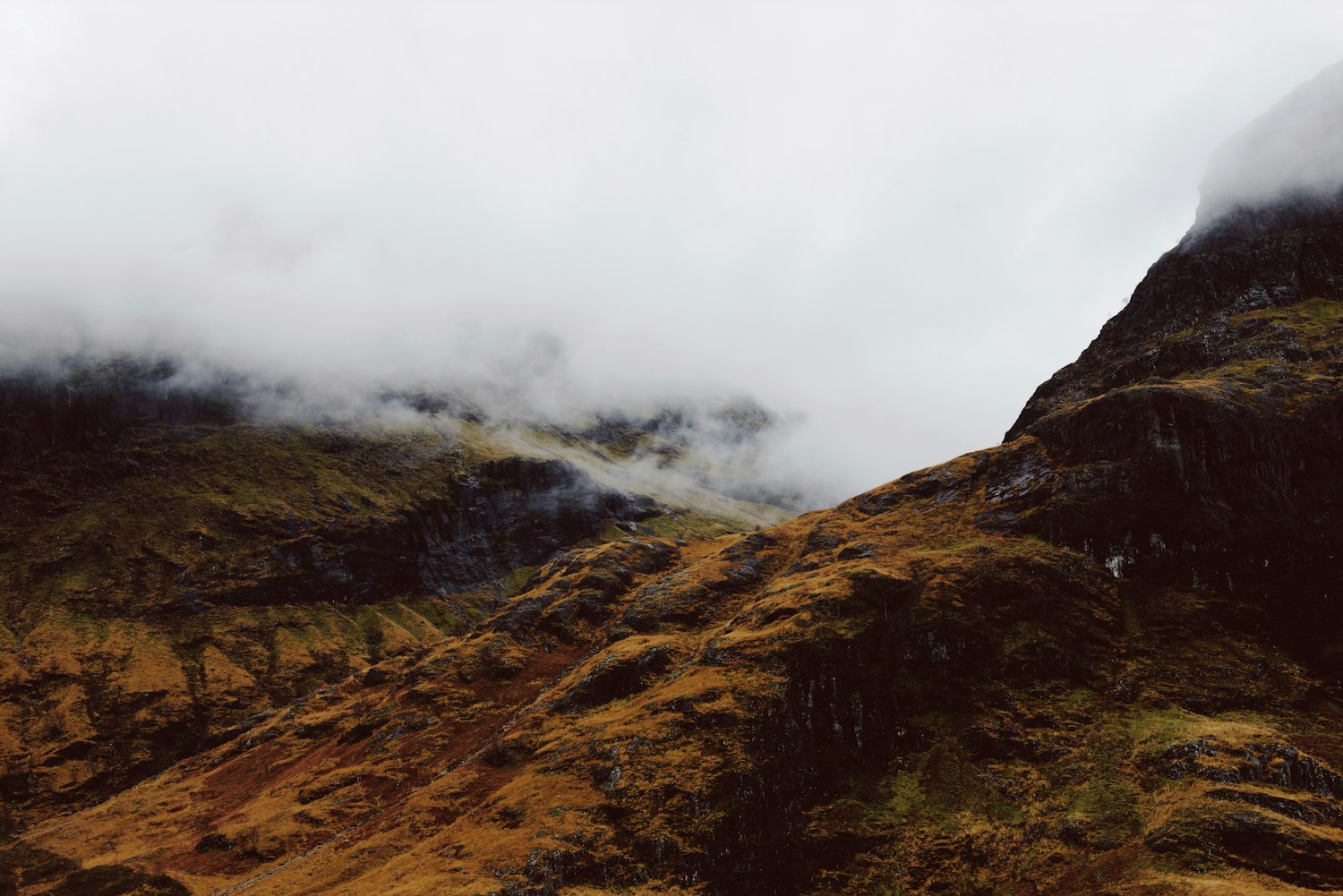韓國明星鐘淑最新動態(tài)揭秘