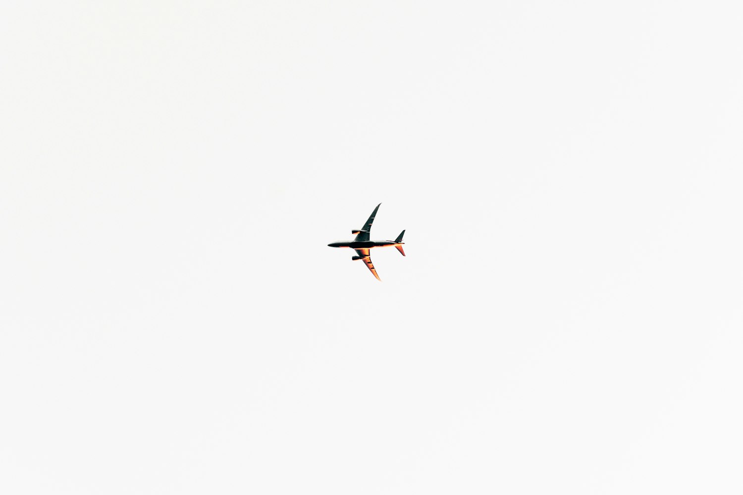 延川新聞最新動態(tài)速遞