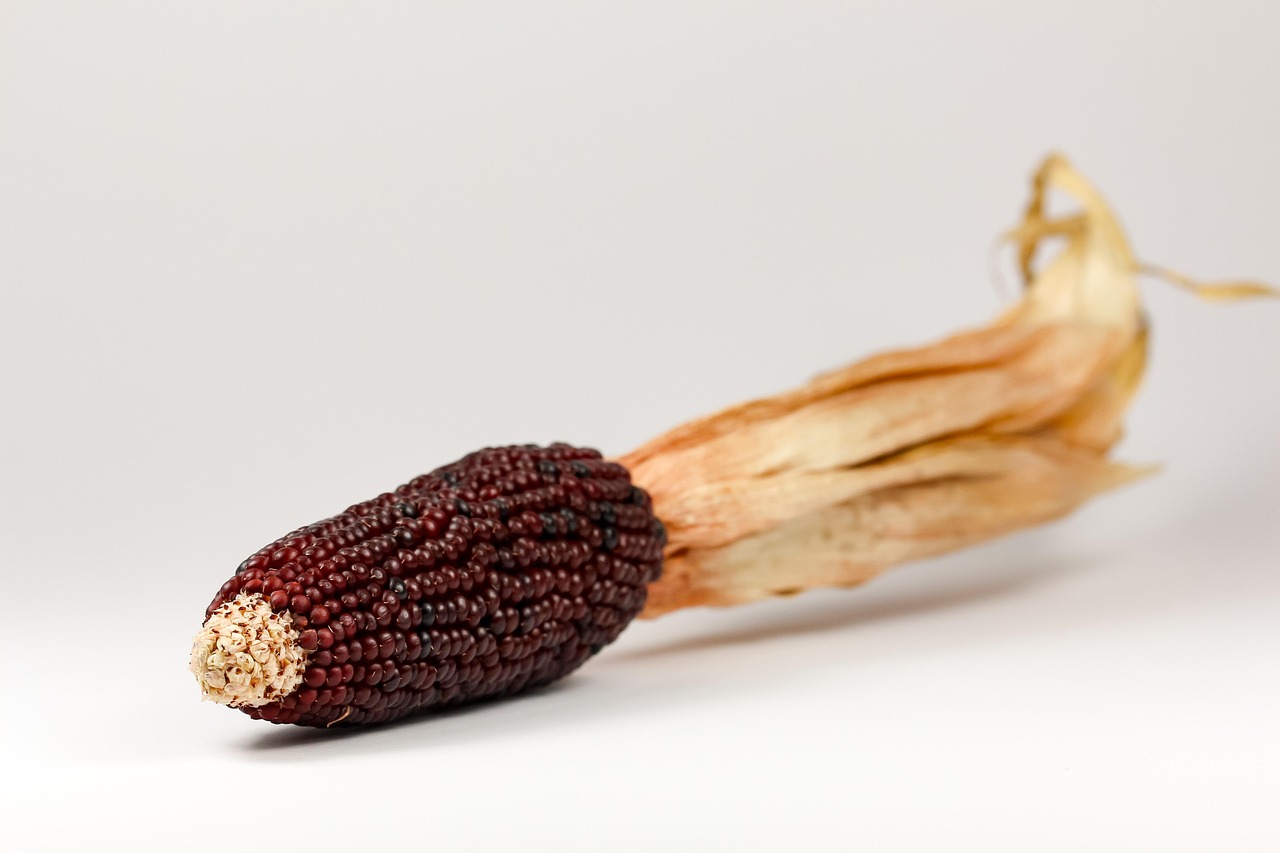 傳統(tǒng)與創(chuàng)新交融，新派鹵味精選的味蕾盛宴